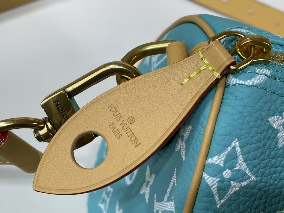 LV SPEEDY BANDOULIÈRE25 M11561