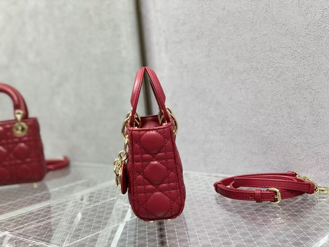 D*or micro lady bag 12x10x5cm