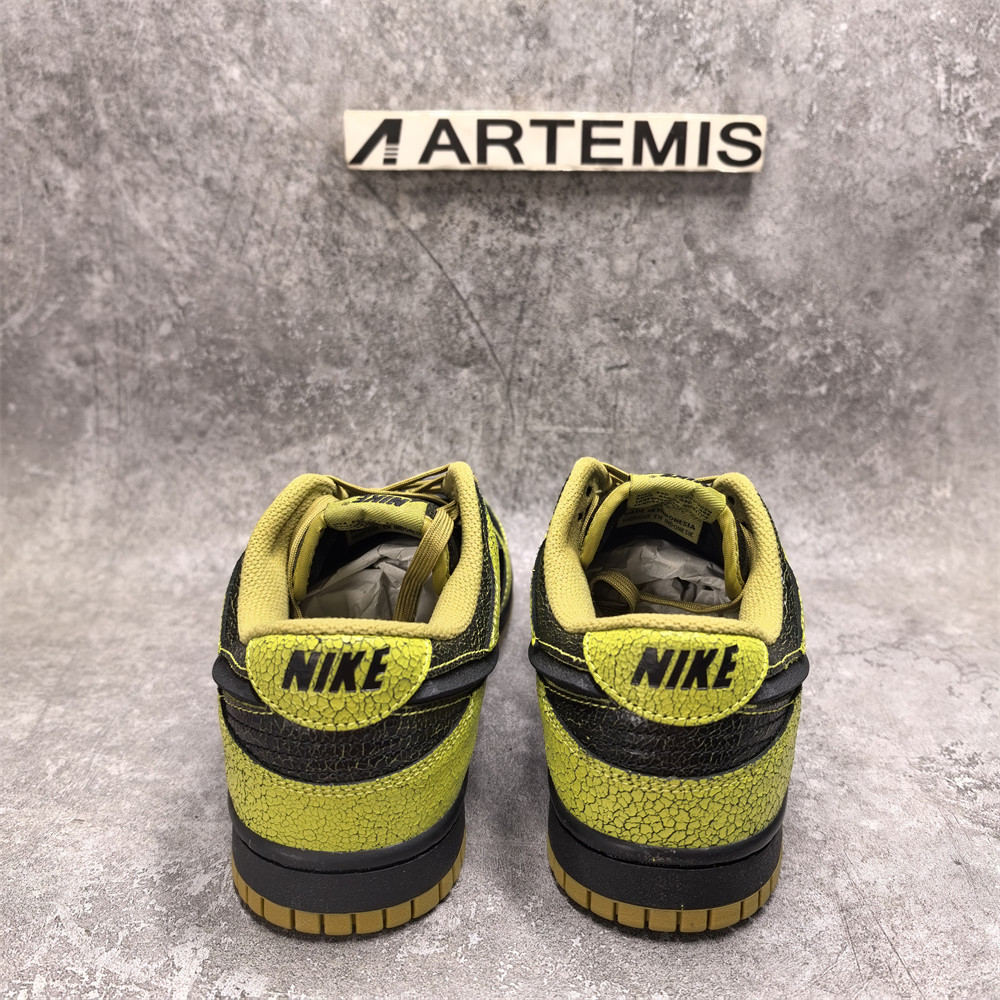 UA Nike Dunk Low QS