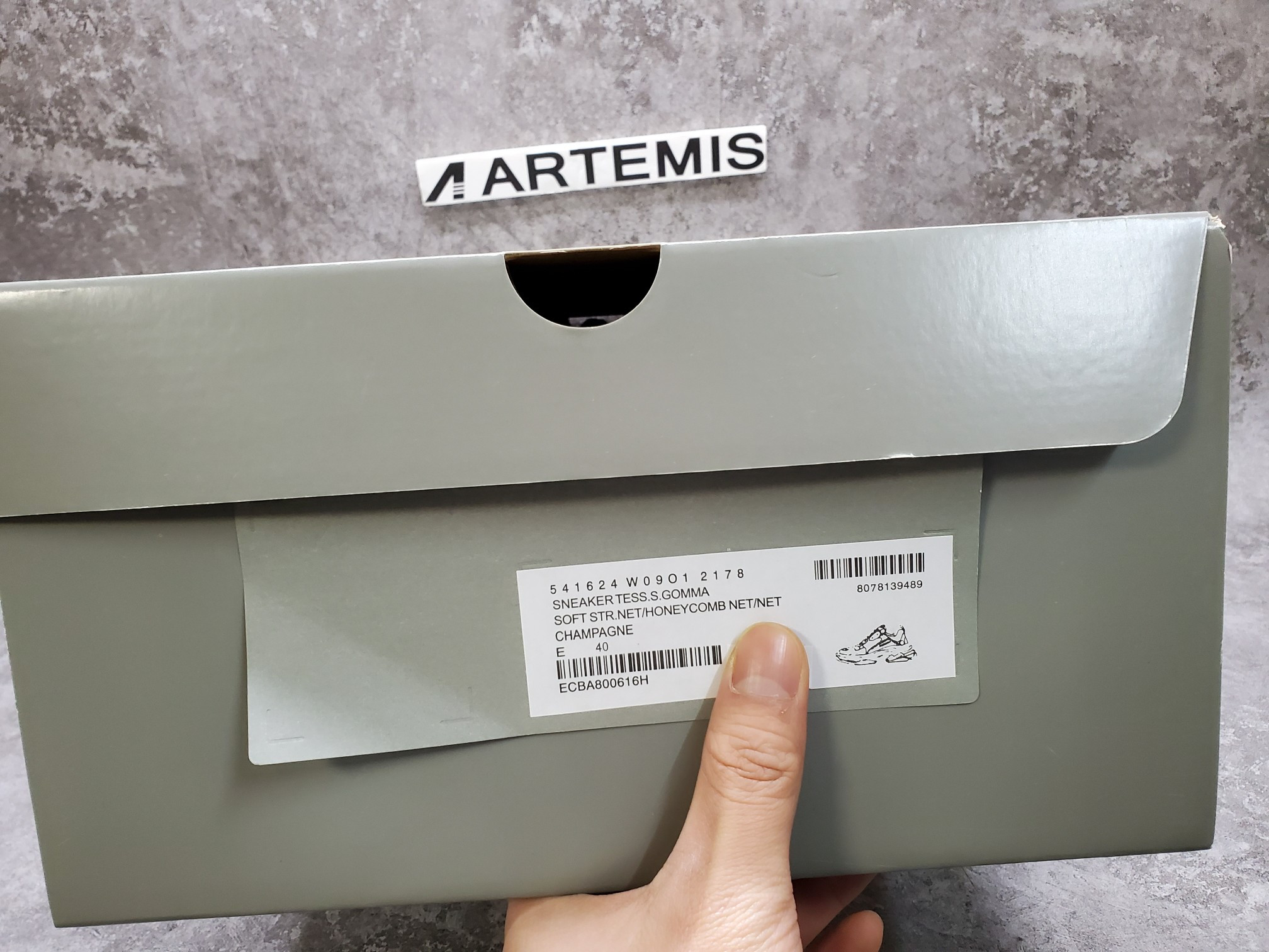 Balenciga Triple S Trainer