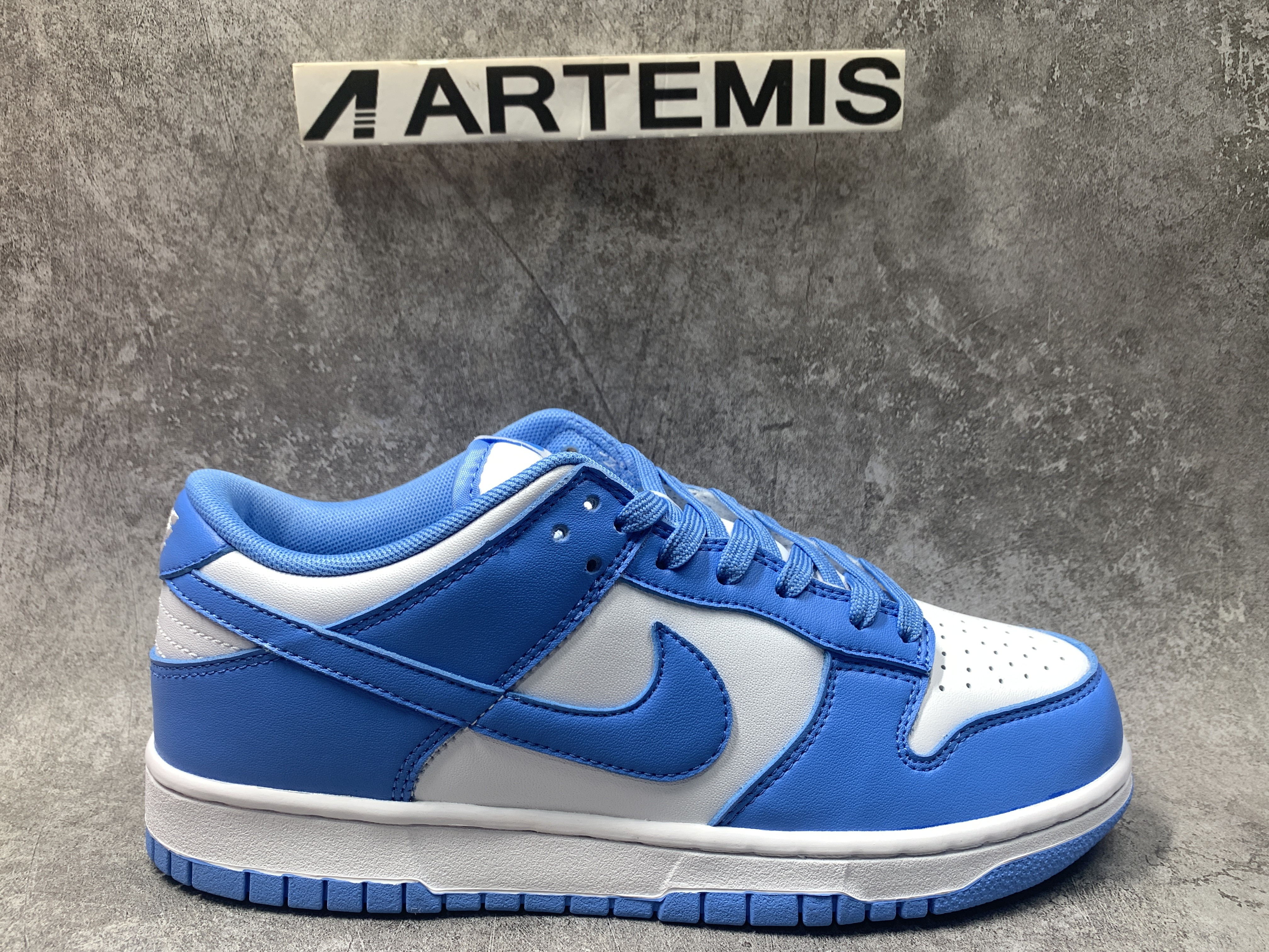 Nike Dunk Low UNC (2021)