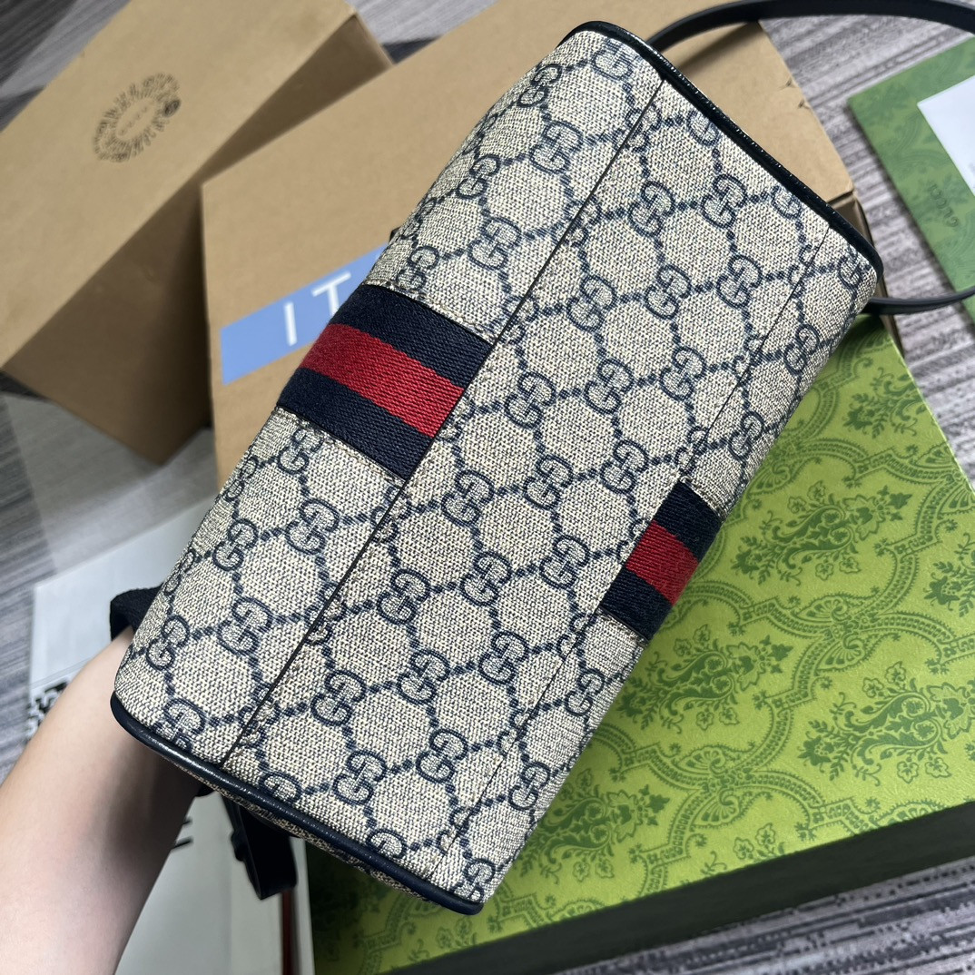 g*u*i ophidia S*per small bag 14x21.5x11.5cm