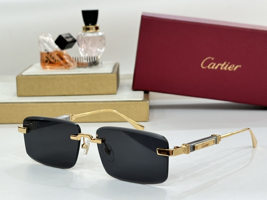 Ca*t*er glasses ct0630