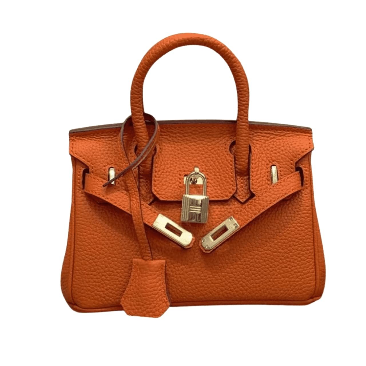 H**me5 Birkin Mini Gold Hardware Epsom Orange 20Cm
