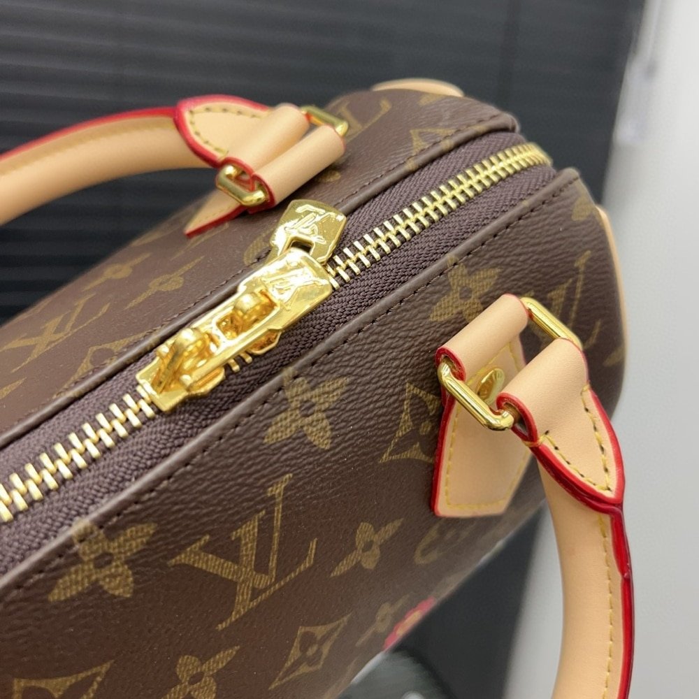 L0vis Vvtt0n X Takashi Murakami Speedy Bandoulière 20Cm