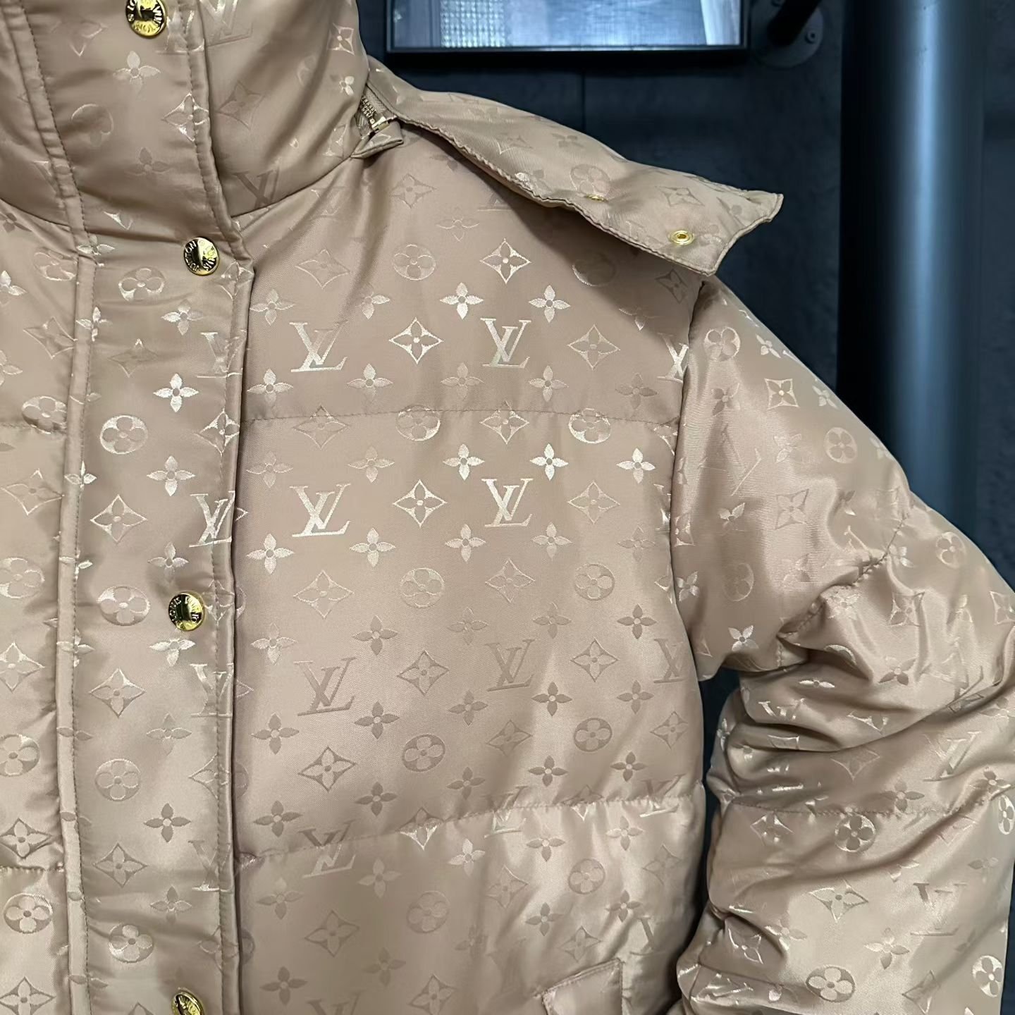 L0vis Vvtt0n Monogram Puffer Jacket Beige 1Aiozf