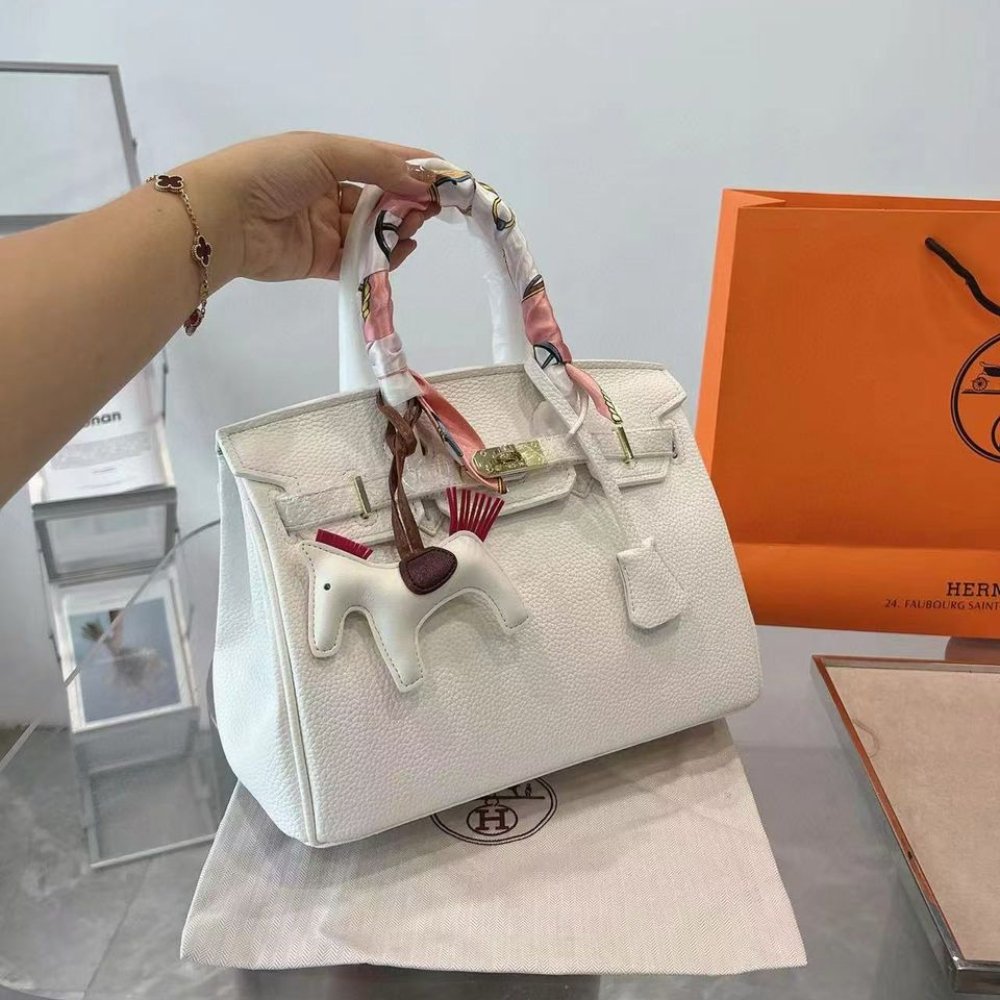 H**me5 Birkin 25 Gold Hardware Epsom White 25Cm