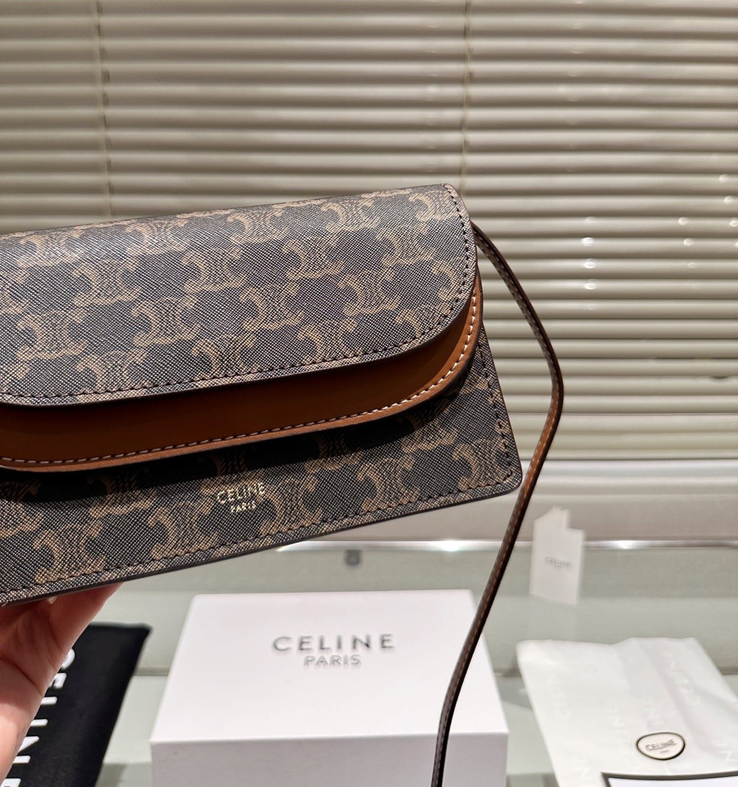 Ce1i*e Wallet On Strap In Triomphe Canvas And Smooth Tan 20Cm