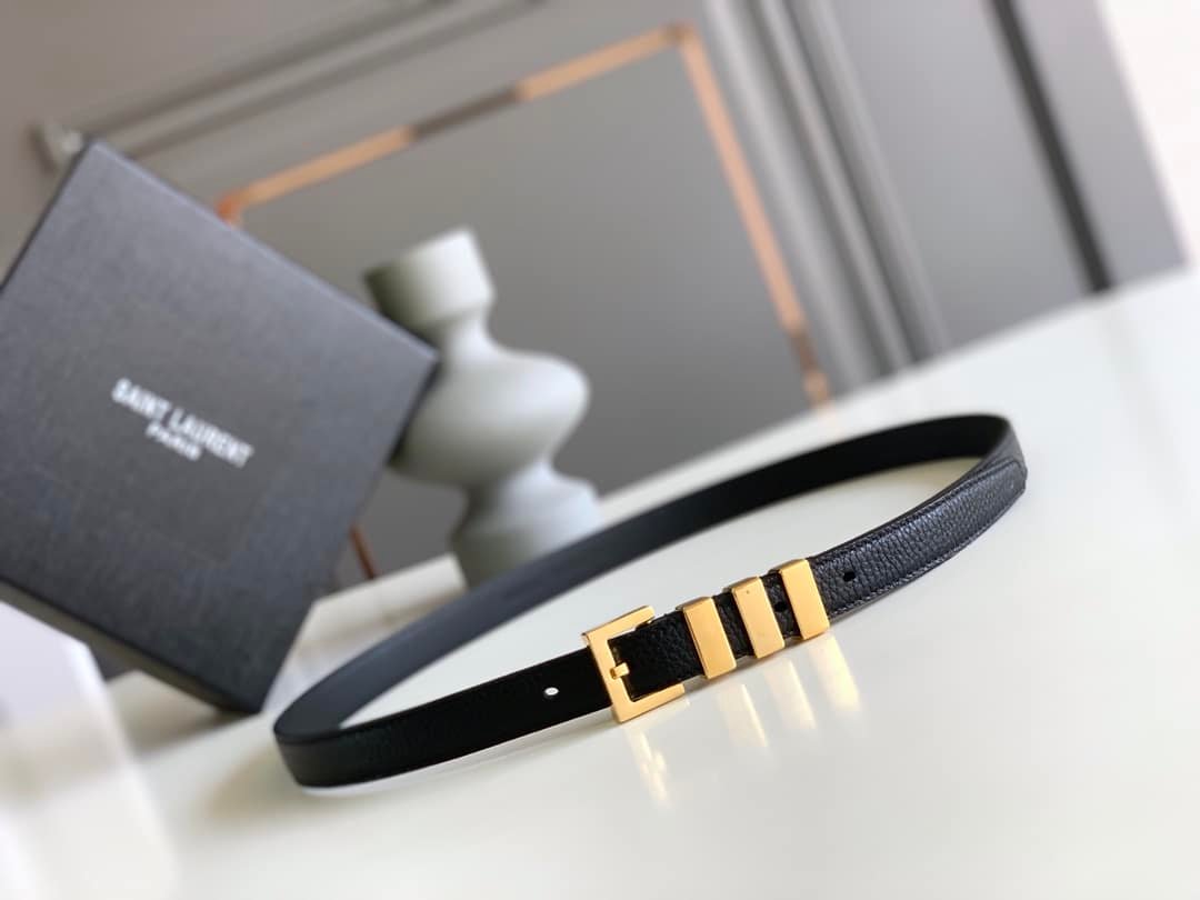 Sa1nt Lau*nt Unisex Brown And Gold Suede Leather Classic 3 Passants Belt 314629 2551