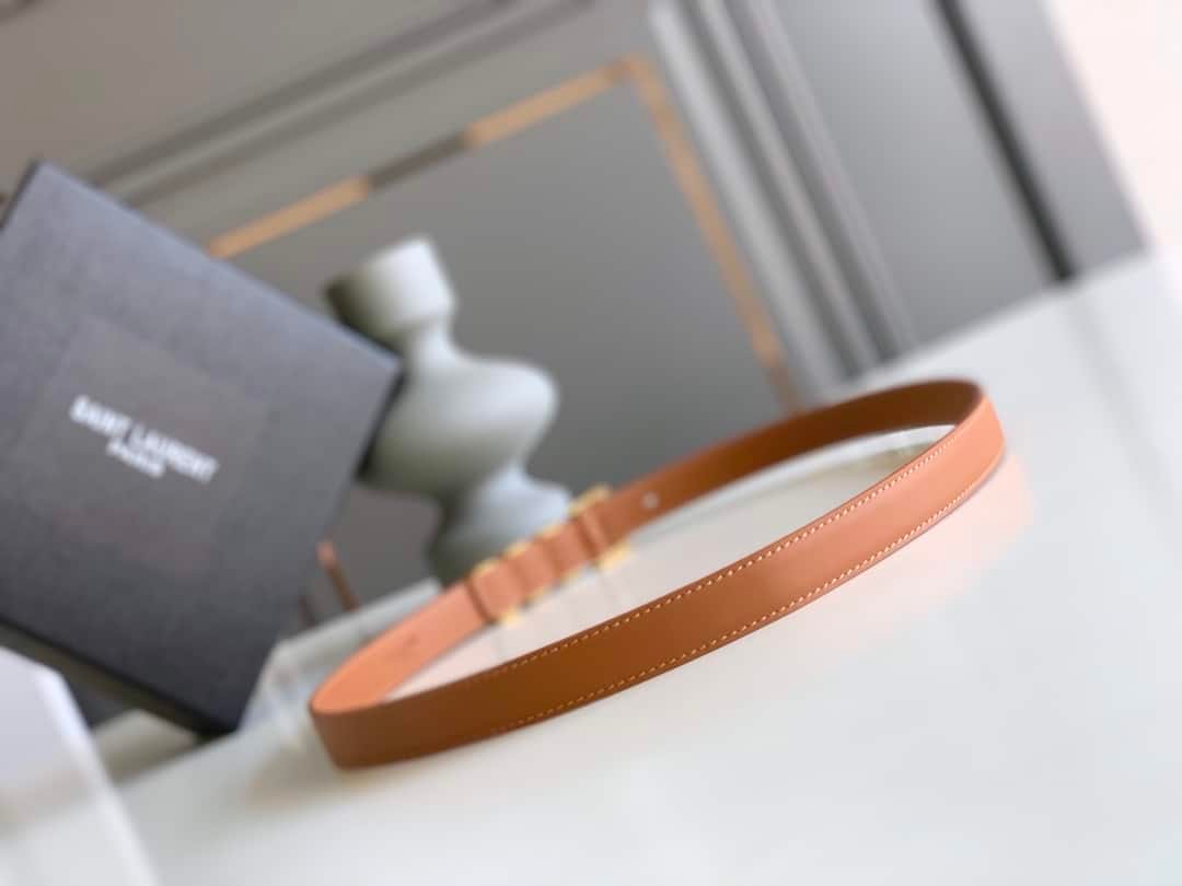 Sa1nt Lau*nt Passants Brown And Gold Belt 3146292551