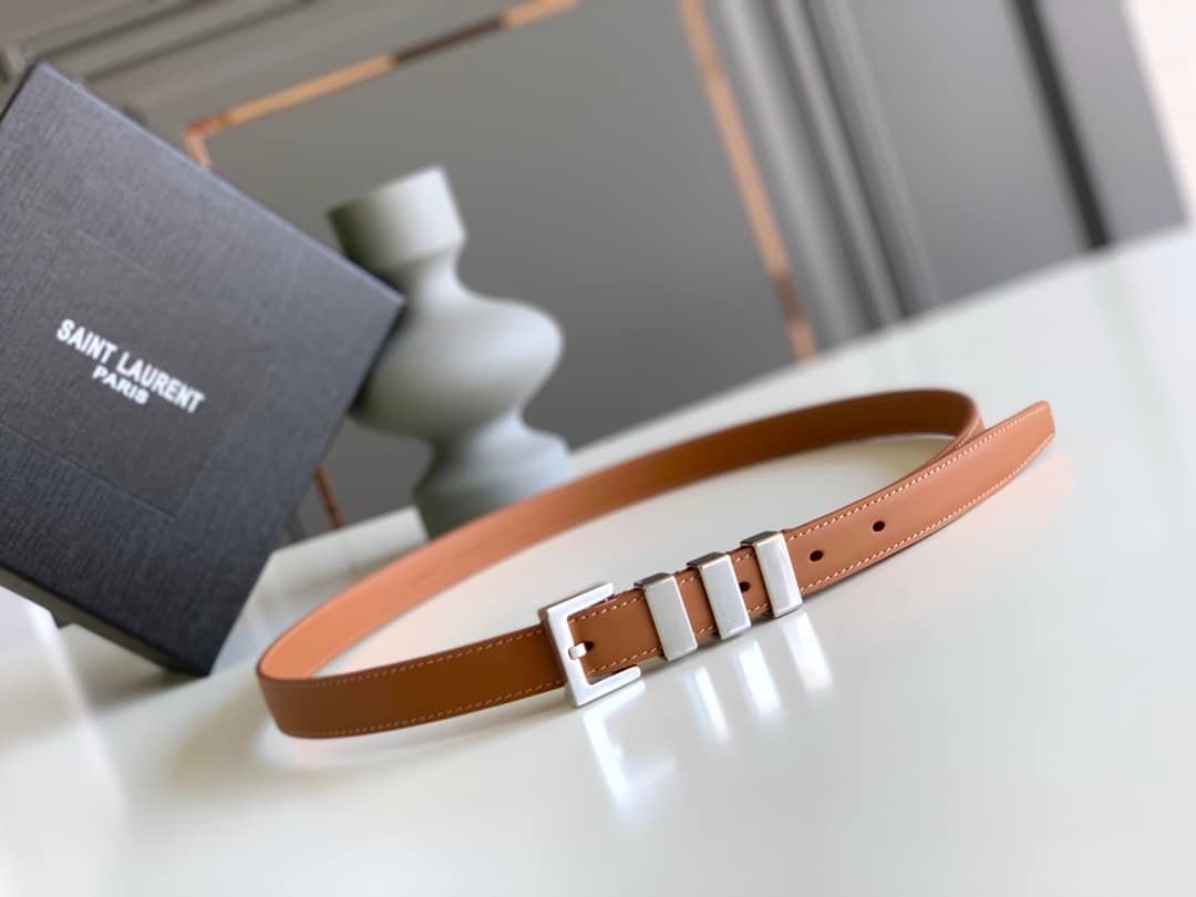 Sa1nt Lau*nt Black 3 Passants Belt Brown And Silver 3146292551