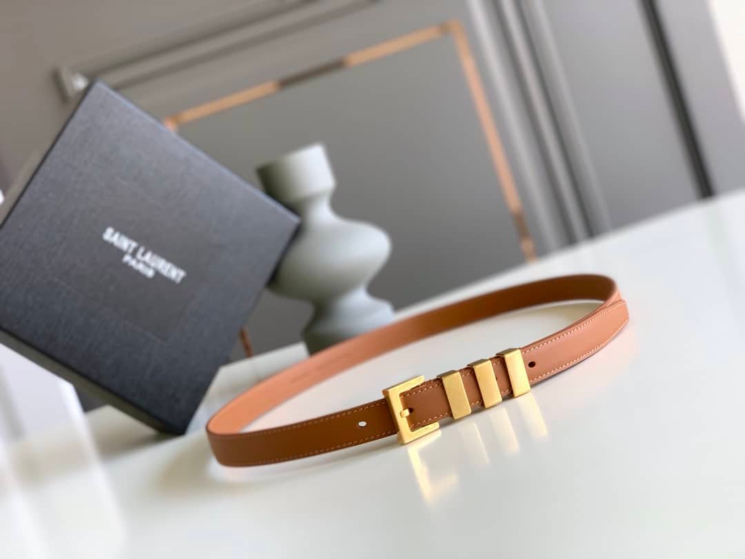 Sa1nt Lau*nt Passants Brown And Gold Belt 3146292551
