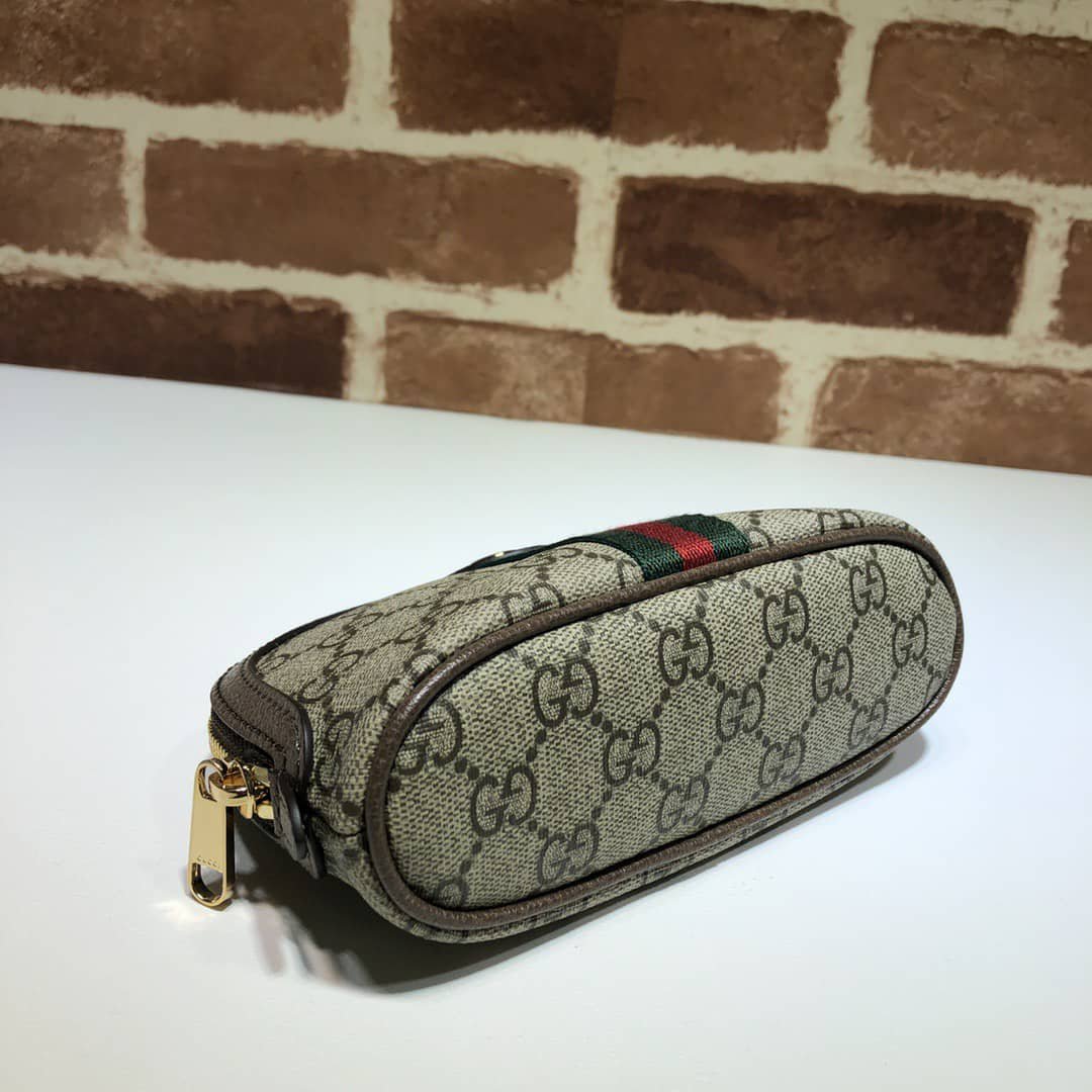 Gvc*1 Ophidia Gg Cosmetic Pouch Brown