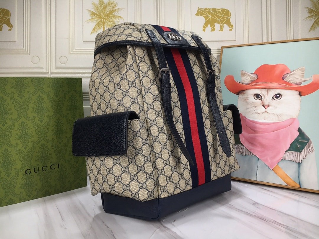 Gvc*1 Ophidia Gg Medium Backpack Blue 40Cm 598140 Huhan 4079
